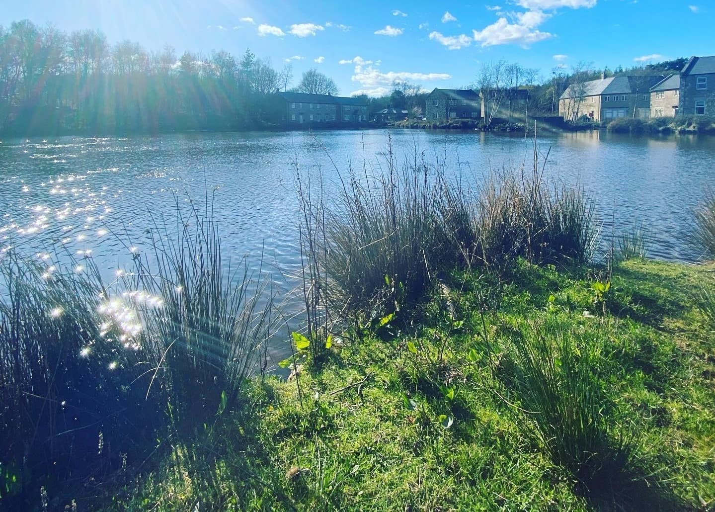 lakesunapril21.3
